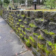 Pressure-Washing-in-Rochester-WA 3